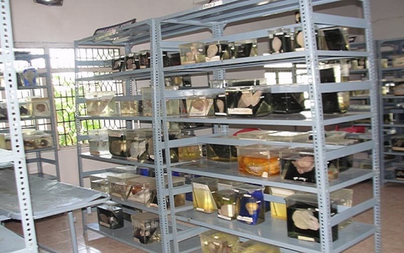 Aarupadai Veedu Medical College Pondicherry Facilities photo 10